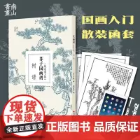 芥子园画谱精选放大版 树谱 康熙原版国画技法经典作品 中国画入门技法正版书籍 国画临摹画册册页 清王概芥子园画传