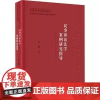 民事诉讼法学案例研究指导 王娣 编 大学教材社科 正版图书籍 中国政法大学出版社