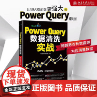 Power Query数据清洗实战 Excel Home 著 软件工程专业科技 正版图书籍 北京大学出版社