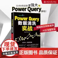 Power Query数据清洗实战 Excel Home 著 软件工程专业科技 正版图书籍 北京大学出版社