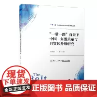 “一带一路”背景下中国—东盟关系与自贸区升级研究