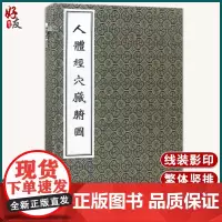 人体经穴脏腑图 张华敏 李鸿涛主编 中医古籍孤本大全 中医古籍出版社9787515212111