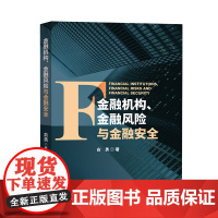 金融机构、金融风险与金融安全