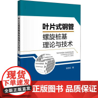 叶片式钢管螺旋桩基理论与技术 彭丽云 著 交通/运输专业科技 正版图书籍 人民交通出版社股份有限公司