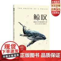 鲸叹 探寻鲸鱼鲜为人知的生活 利·卡尔韦北京科学技术出版社