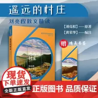 [新版]遥远的村庄:刘亮程散文精读