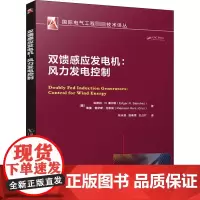 双馈感应发电机:风力发电控制 (墨西哥)埃德加·N.桑切斯 等 著 张永昌,温春雪,王占扩 译 能源与动力工程专业科技