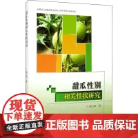 甜瓜性别相关性状研究 盛云燕 著 农业基础科学专业科技 正版图书籍 哈尔滨工业大学出版社