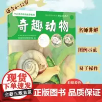 正版奇趣动物 儿童少儿彩铅画教程书彩铅画入门教程零基础铅笔画艺术绘画画画教材 儿童少儿彩铅写生系列 少儿美术机构教材