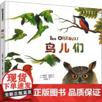 鸟儿们 (法)埃里克·马蒂韦 著 姜莹莹 译 (荷)卡普辛·马泽尔 绘 科普百科少儿 正版图书籍 上海文化出版社