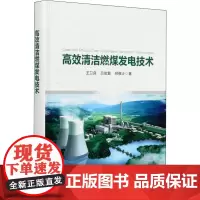 高效清洁燃煤发电技术 王卫良,吕俊复,倪维斗 著 电工技术/家电维修专业科技 正版图书籍 中国电力出版社