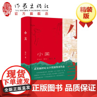 小美 钱江著 沈劲 再生家庭 中美教育文化碰撞 北美创世纪文学奖获得者作品