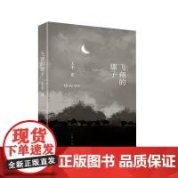 飞翔的骡子 著名作家王手经典短篇小说集