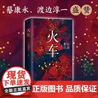 火车 (日)宫部美雪 著 张秋明 译 外国小说文学 正版图书籍 南海出版公司