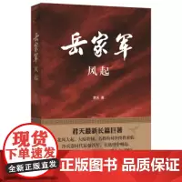 正版岳家军风起 中华书局 9787101117837