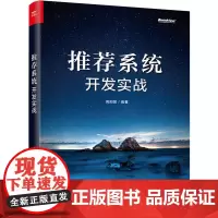 系统开发实战 高阳团 著 数据库专业科技 正版图书籍 电子工业出版社