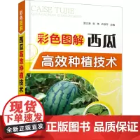 彩色图解西瓜高效种植技术 贾文海,刘伟,乔淑芹 编 农业基础科学专业科技 正版图书籍 化学工业出版社