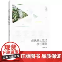 现代无土栽培模式图集 张天柱 著 农业基础科学专业科技 正版图书籍 中国轻工业出版社