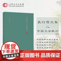 正版保证 中国文学概论 中国古典文学大家袁行霈先生解读中国文学的经典之作,中文系学生必读书目