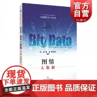 图情大数据