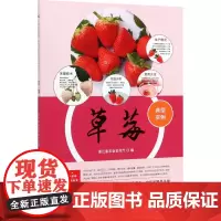 草莓 浙江省农业农村厅 编 园艺专业科技 正版图书籍 中国农业科学技术出版