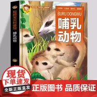 精装硬皮绘本 哺乳动物 探索百科儿童百科学普及书籍 幼儿园小学生趣味野生动物百科知识自然奥秘动物世界百科大全图书籍 正版