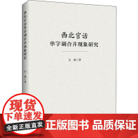 西北官话单字调合并现象研究 衣莉 著 语言文字文教 正版图书籍 知识产权出版社