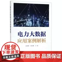 电力大数据应用案例解析 张素香 徐家慧 著 张素香 徐家慧 编 电工技术/家电维修专业科技 正版图书籍 中国电力出版社
