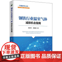 钢铁行业温室气体减排机会指南 杨宏伟,郭敏晓 著 工业技术其它专业科技 正版图书籍 中国经济出版社