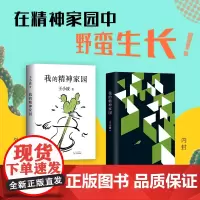 [ 正版图书]我的精神家园 王小波代表作 新编排 李银河审定 新经典