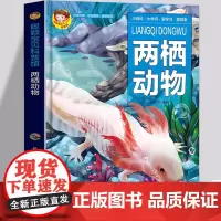 精装硬壳 两栖动物 探索百科 幼儿童趣味科普书绘本故事动物百科全书 陆地海洋动物世界幼儿认知小百科儿童生活科普全书 正版
