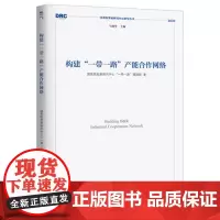 构建“一带一路”产能合作网络[2020年国务院发展研究中心丛书]