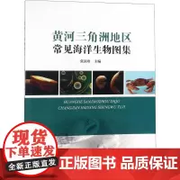 黄河三角洲地区常见海洋生物图集 张汉珍 主编 著 科学研究方法论专业科技 正版图书籍 中国海洋出版社