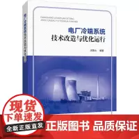 电厂冷端系统技术改造与优化运行 汪国山 著 建筑/水利(新)专业科技 正版图书籍 中国电力出版社