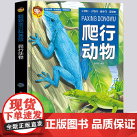 精装硬皮硬壳绘本 爬行动物 探索百科 有趣的爬行动物百科全书彩图版 丰富的动物家族 动物书籍 儿童幼儿园科普绘本故事 正