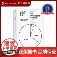 第一推动丛书·宇宙系列:疯狂的宇宙 暗能量 暗物质 哈勃 天文 宇宙 天体 物理 黑洞 引力波[原力出品]
