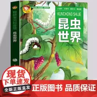 精装硬皮绘本 昆虫世界 幼儿童科普书绘本故事动物探索百科昆虫百科昆虫记幼儿认知小学生儿童科普百科全书十万个为什么正版