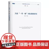 共建“一带一路”国际规则研究(国务院发展研究中心研究丛书2020)