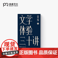 文学体验三十讲 苗炜 著 苗师傅文学之夜 一本书读懂数十部外国文学经典 苗炜的阅读体验 陪你度过这时代的晚上 浦睿文化