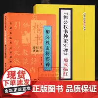 柳公权玄秘塔碑+柳公权书神策军碑(全套2册) 名碑名帖速成描红初学者毛笔书法教程 楷书临习技法精讲字帖碑帖技法汉字结构正