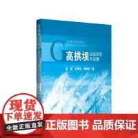 高拱坝边坡开挖与治