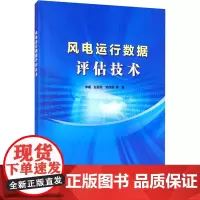 风电运行数据评估技术 李媛 等 著 能源与动力工程专业科技 正版图书籍 中国水利水电出版社