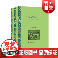 堂吉诃德全2册上下 唐吉诃德 唐吉柯德 译文名著精选 完整中译本公认原汁原味展现原著魅力外国文学小说世界名著上海译文出版