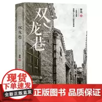 [优惠]双龙巷 罗锐著 中国工人出版社店 正版新书 改革开放浪潮背景下的悲欢离合