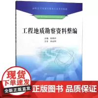 工程地质勘察资料整编 杨照祥 著 冶金工业专业科技 正版图书籍 黄河水利出版社