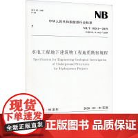 水电工程地下建筑物工程地质勘察规程 NB/T 10241-2019 代替 DL/T 5415-2009 国家能源局 标准