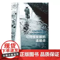 可持续发展的连接点 城市与生态文明丛书 人类发展的关键地球可持续未来 这部前沿先锋的作品给你启示人与自然和谐共处和平自然