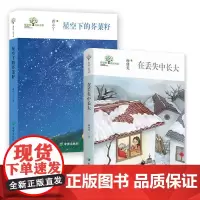 在丢失中长大谢倩霓星空下的芥菜籽蒋小丫讲述成长的小说引领成长美好童年成长故事慰藉心灵儿童文学