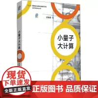 小量子大计算 居琛勇 著 科普读物其它专业科技 正版图书籍 中国科学技术大学出版社