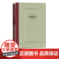 情感教育外国文学名著丛书福楼拜著王文融法国文学世界名著网格本人民文学出版社